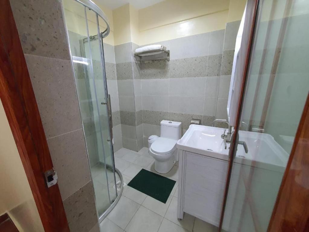 a bathroom with a shower and a toilet and a sink at Jancy Properties in Nairobi