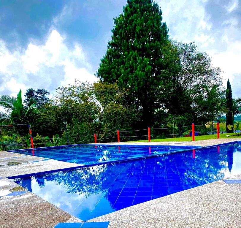 a blue swimming pool with a tree in the background at Finca Hotel Paisaje Cafetero in Quimbaya