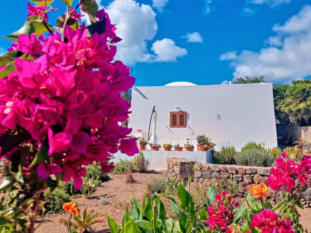 a white house with flowers in front of it at Dammuso Pantelleria - Fiori D'Ossidiana in Pantelleria