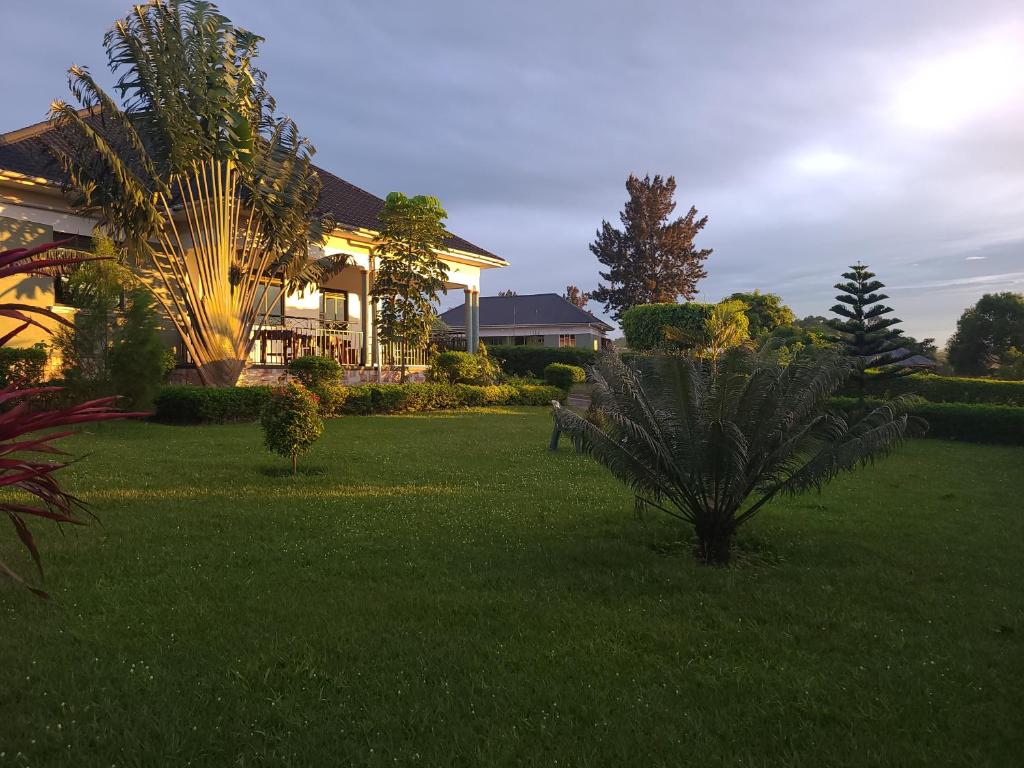 ein Haus mit einem grünen Garten mit einer Palme in der Unterkunft Orchard Home Homestay in Mbarara