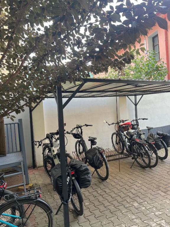 Jízda na kole v ubytování Hotel Apollon nebo okolí