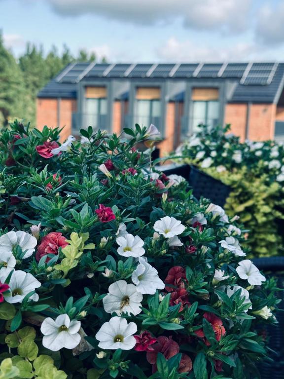 a bush of flowers in front of a building at Isco Apartment in Kuressaare