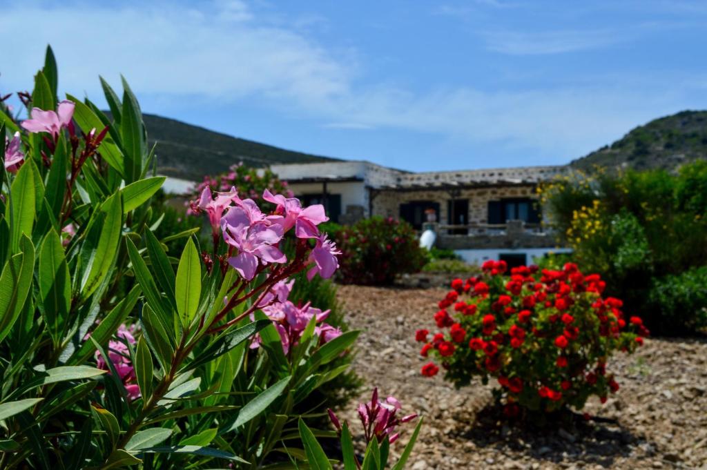 a garden with pink and red flowers in front of a house at Villa Peristeri in Agios Georgios