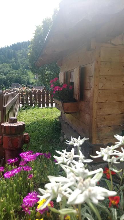 Zahrada ubytování Casa Serena