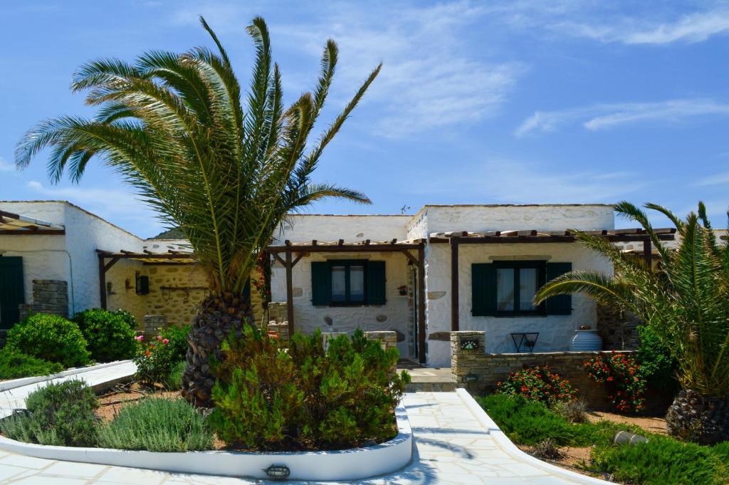 a house with a palm tree in front of it at Villa Peristeri in Agios Georgios