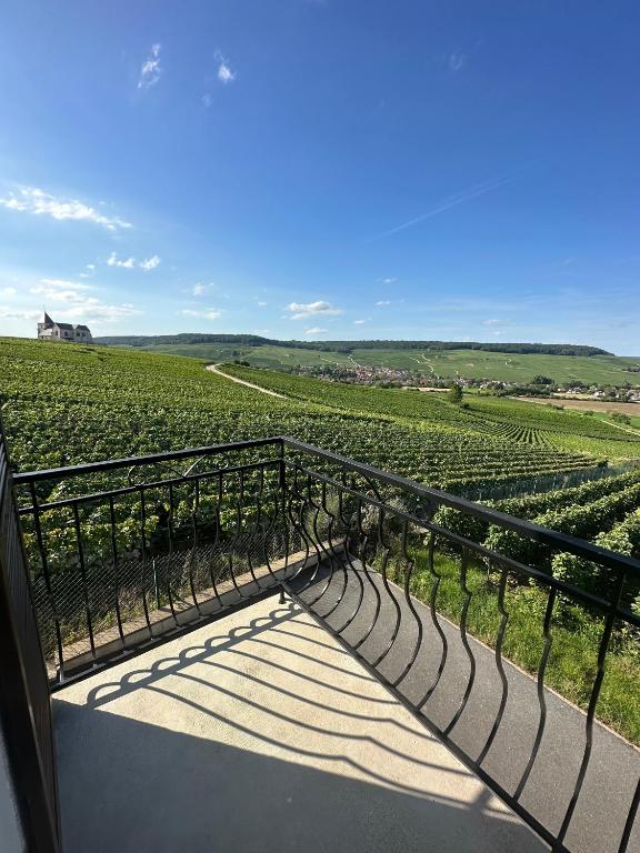 d'un balcon offrant une vue sur un vignoble. dans l'établissement AU COEUR DU TERROIR CHAMPENOIS, à Chavot-Courcourt
