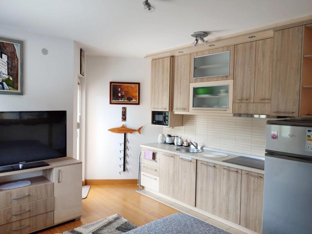 Apartman Lux Sneznik - 一居室公寓