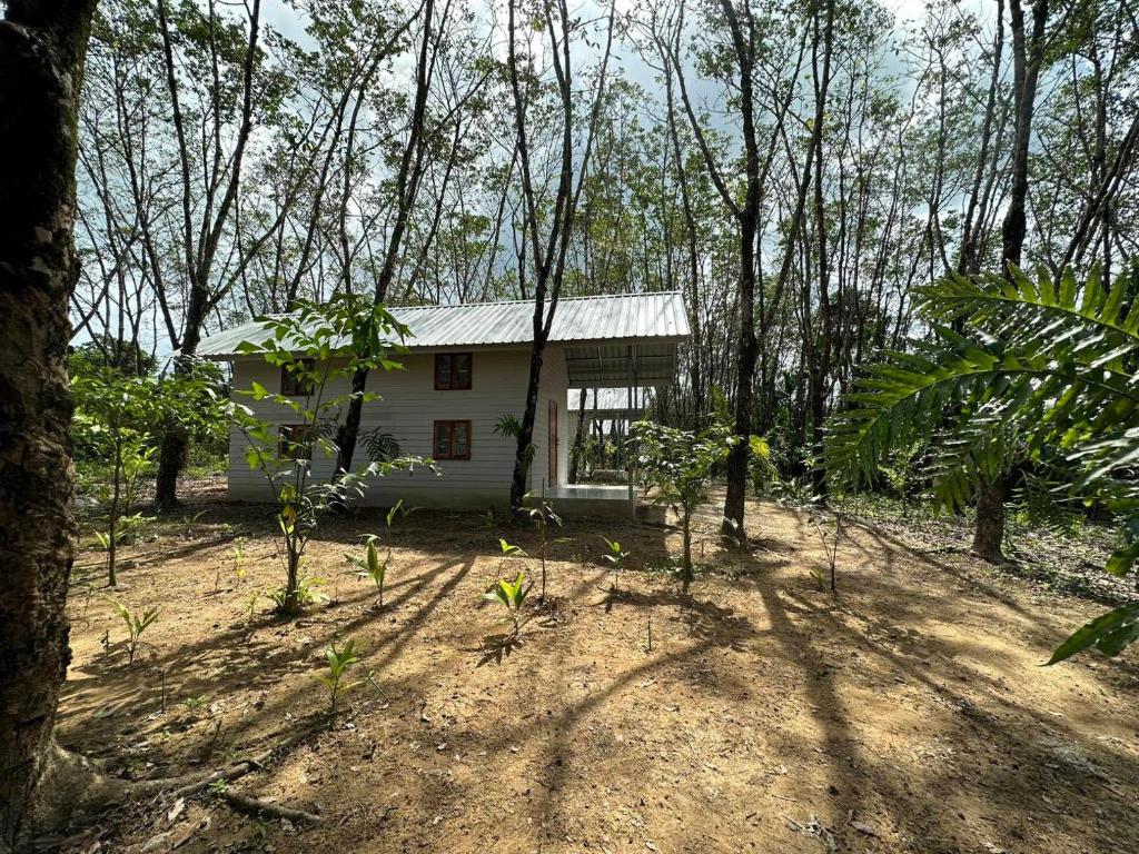 Rabbit Bungalow, Ko Phayam (updated prices 2025)