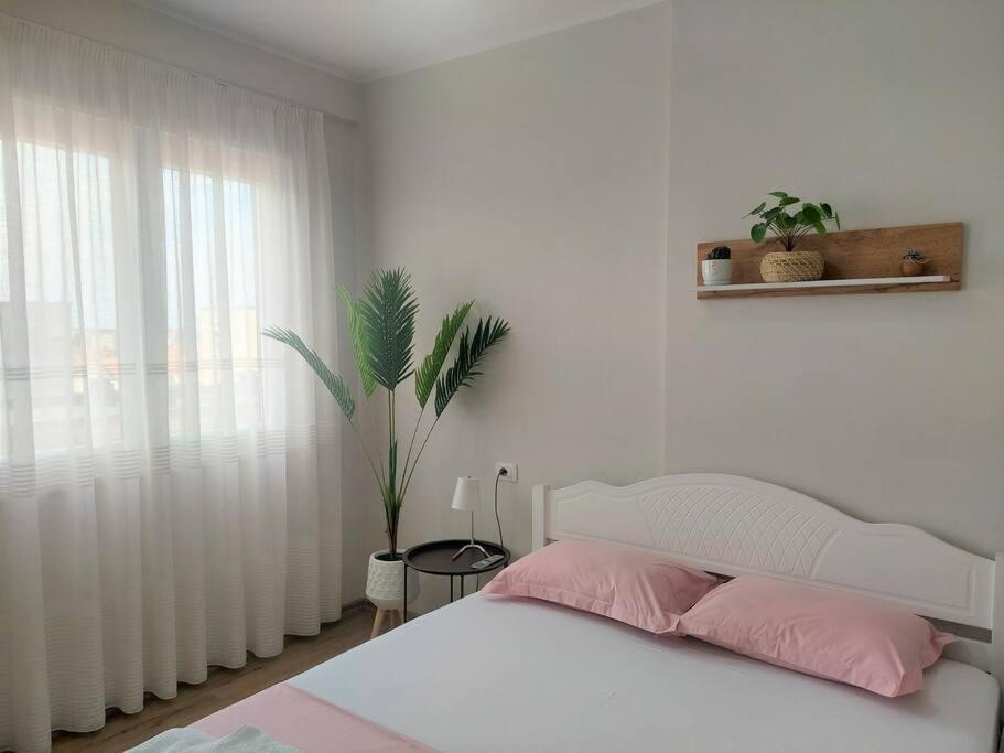 The Dekori Flat - Image 7
