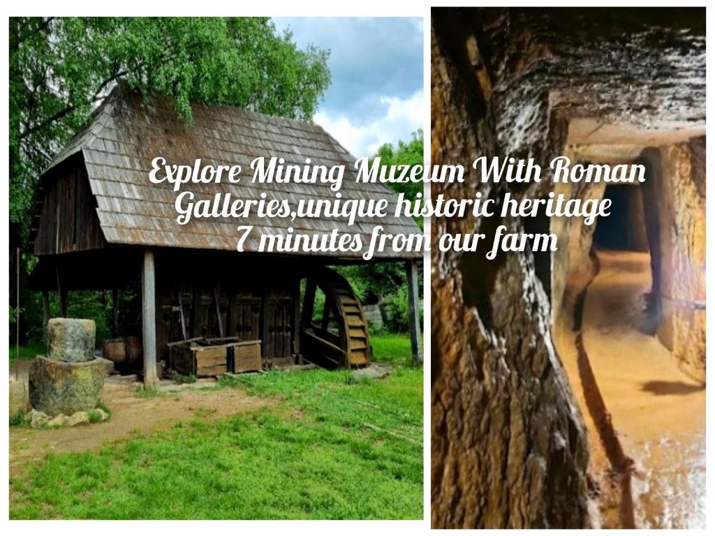 a collage of two pictures of a barn at RETREAT COZY FARMHOUSE SEJOUR Roşia Montana, Acces Optional Hottube in Roşia Montană