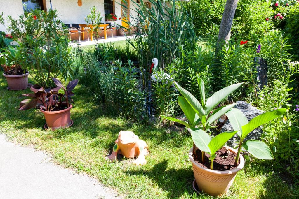 Zahrada ubytování Haus Akazie