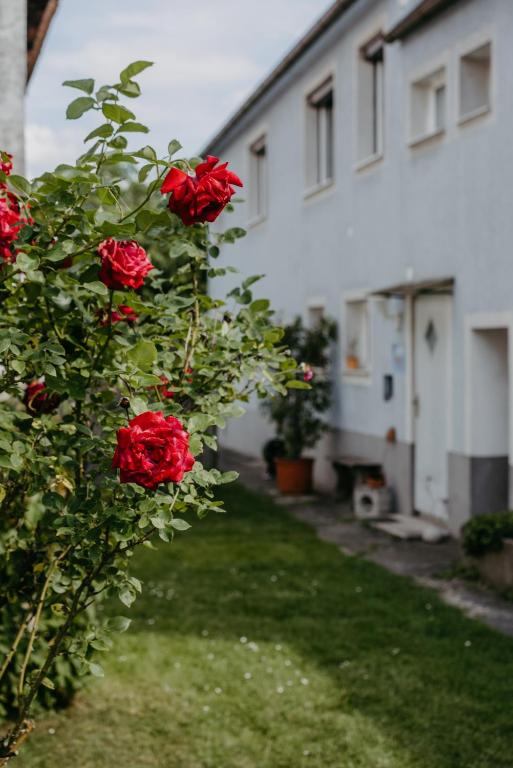 A garden outside Ferienwohnung Morgensonne