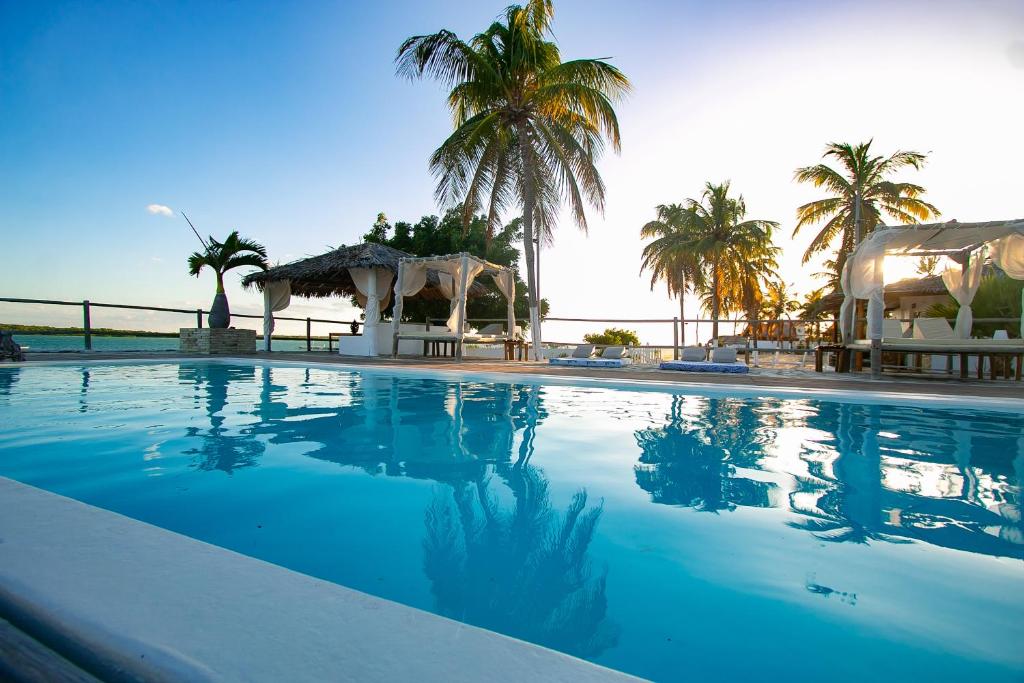 uma grande piscina com palmeiras ao fundo em Amagali Pousada em Galinhos