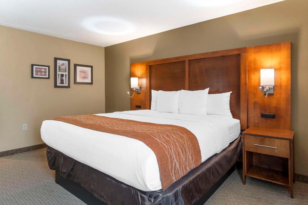 Comfort Inn North-Polaris photo