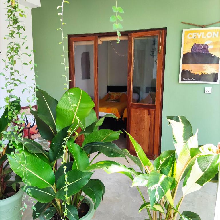 Zahrada ubytování Villa Lyvie ayurvedic hotel