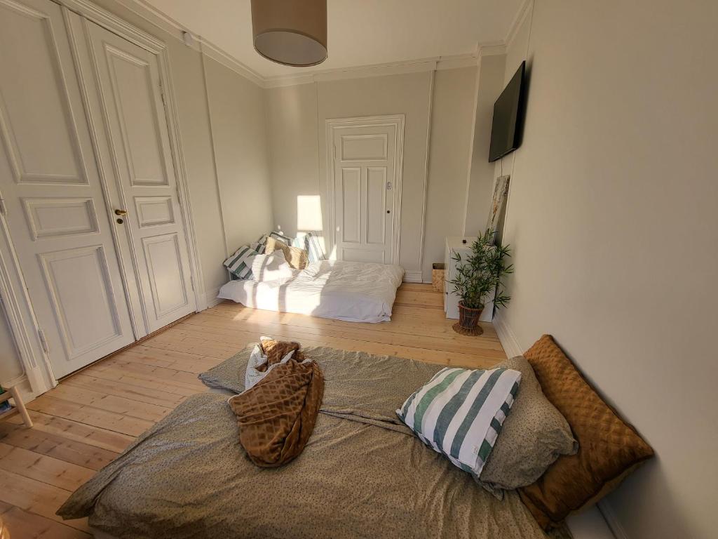 Posezení v ubytování Spacious guest room in Large Central Oslo Condo
