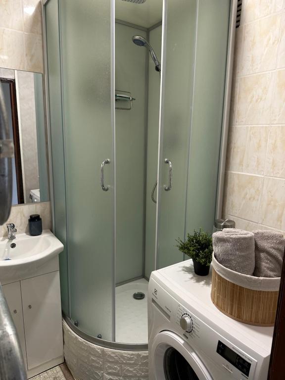 a bathroom with a shower and a washing machine at luksio 14 in Kėdainiai