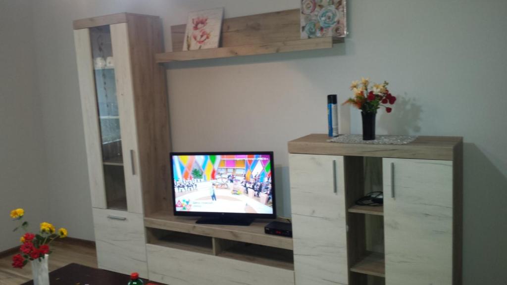 uma sala de estar com televisão num centro de entretenimento em Kuca radovanovic em Tekija
