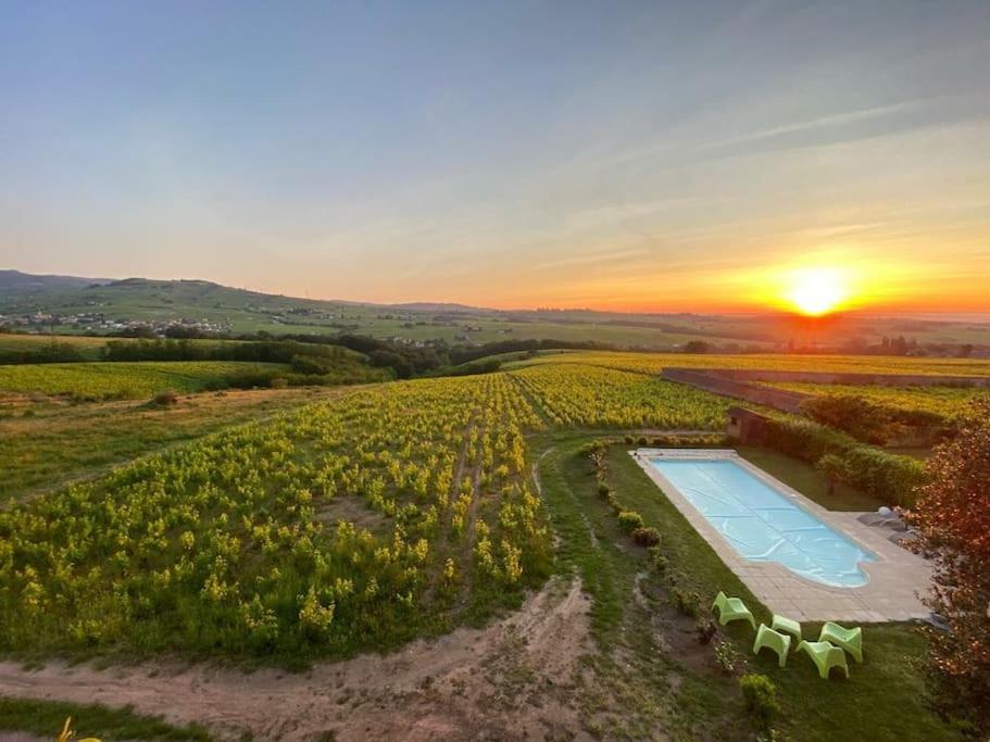 Au cœur des vignes Chénas du Beaujolais sett ovenfra