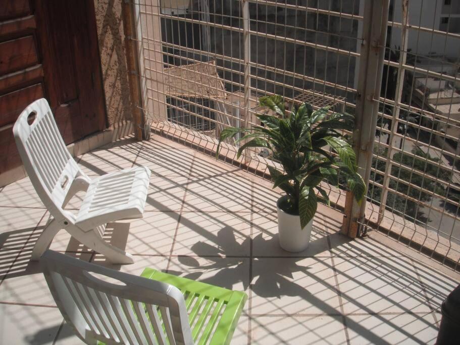 two chairs and a potted plant on a porch at Bien situé T4 à Oran in Oran