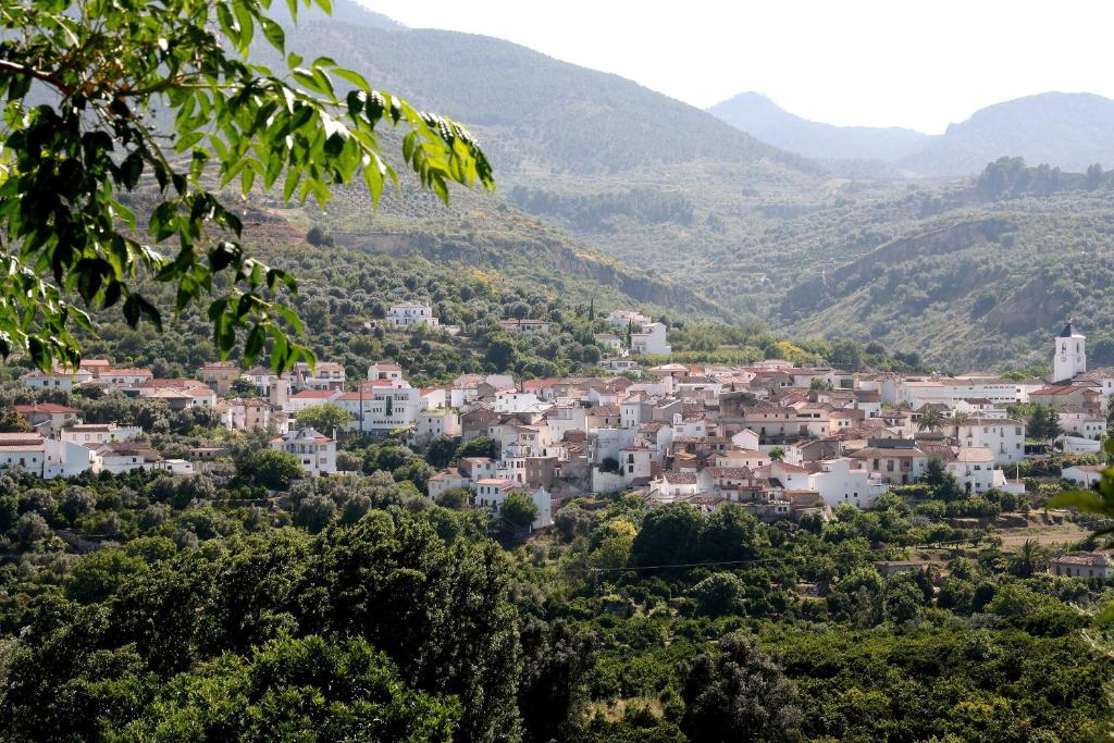 a view of a town in the mountains at La Despensa del Valle in Restábal
