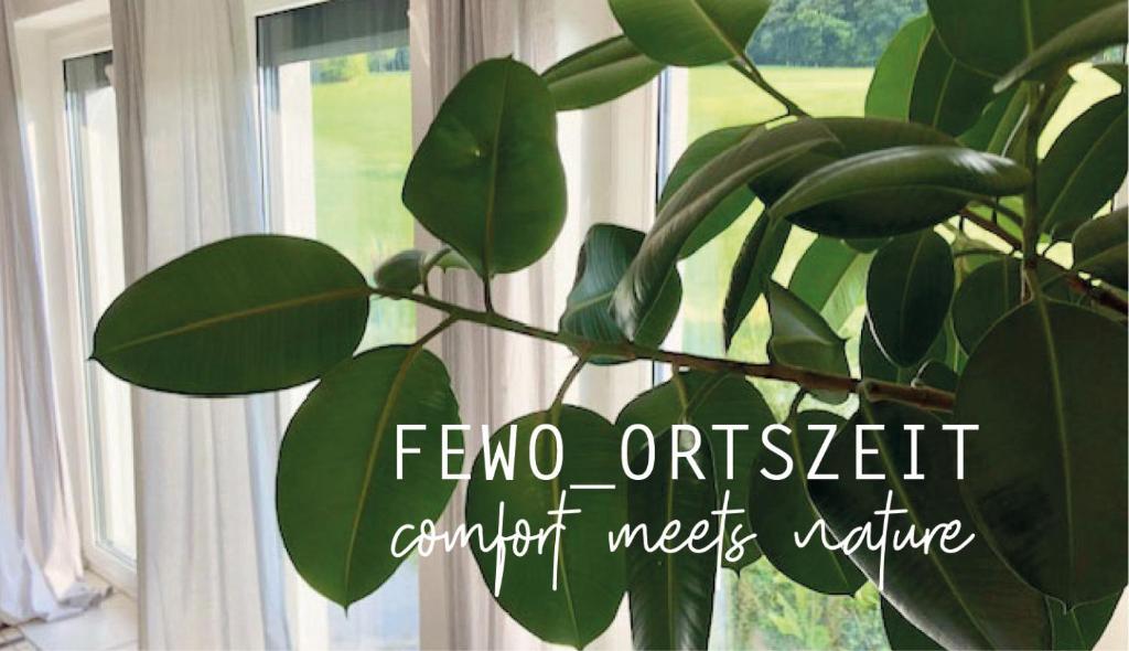 a plant in front of a window with the words fmo oversight comfort meets nature at FEWO_ORTSZEIT in Haintchen