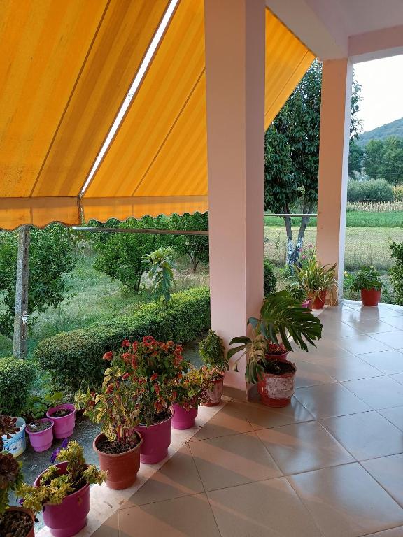 Guest house Fetie - Imazhi 4