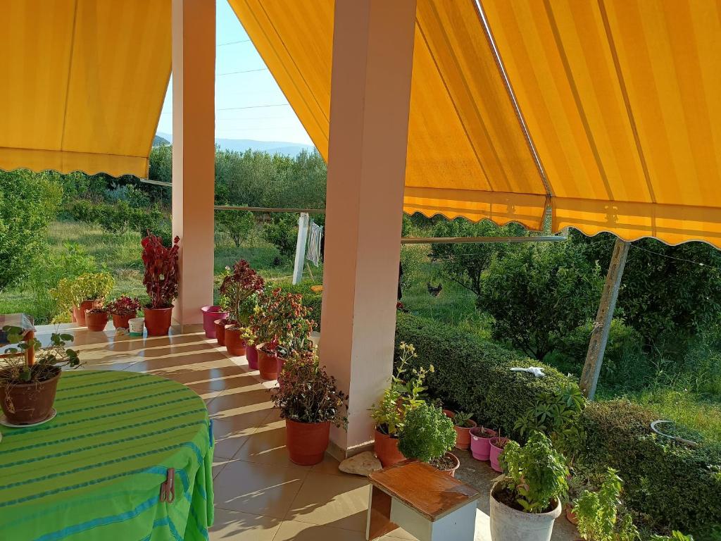 Guest house Fetie - Imazhi 3