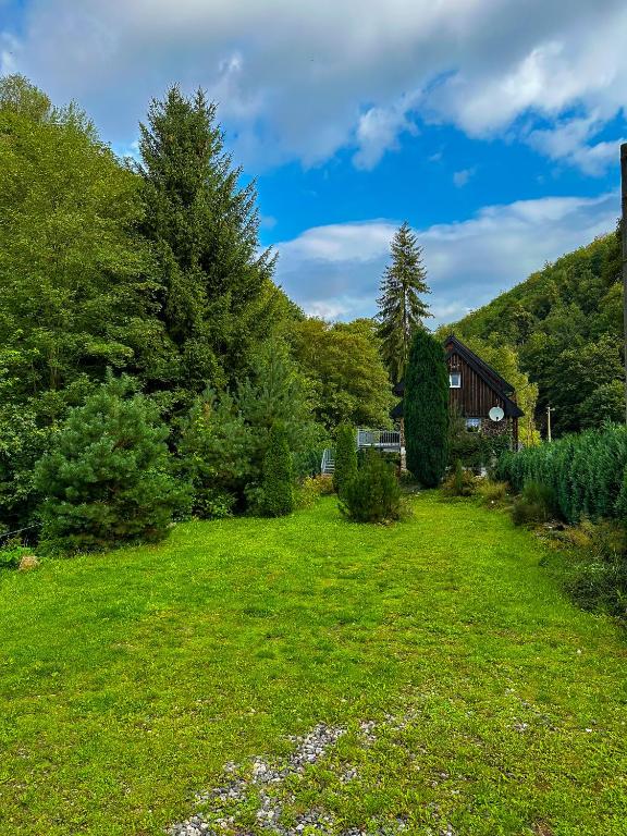 Příroda nedaleko apartmánu