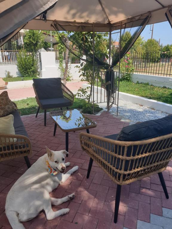 A patio or other outdoor area at VILLA ARHONTIKO