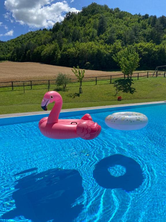 a pink flamingo float in a swimming pool at Agriturismo Popolano Di Sotto in Marradi