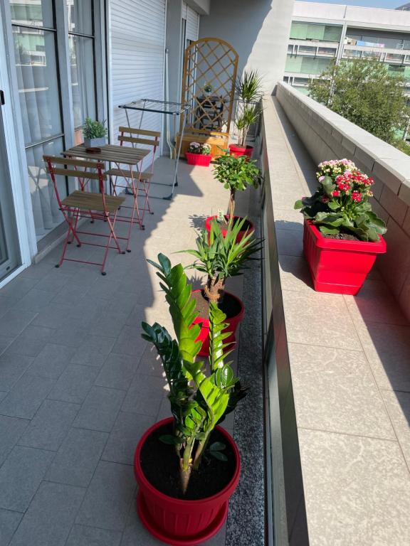 Balkón nebo terasa v ubytování B&B Mary&Giuly
