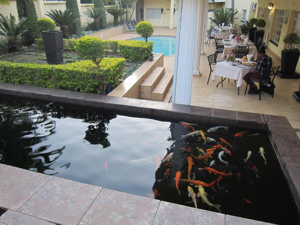 a koi pond in the courtyard of a hotel at La Barune Guest House in Tzaneen