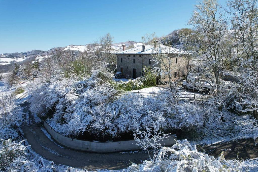 una casa cubierta de nieve con árboles y arbustos en Raggio Campacci di Sacchetti Vanessa, 