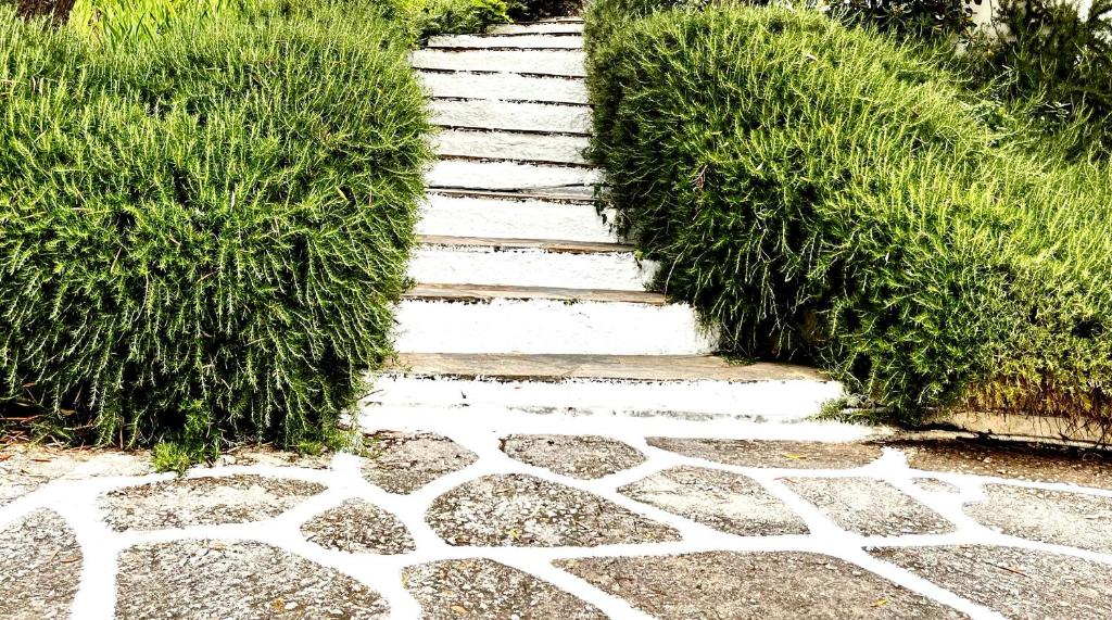 Zahrada ubytování Villa Athena Skiathos