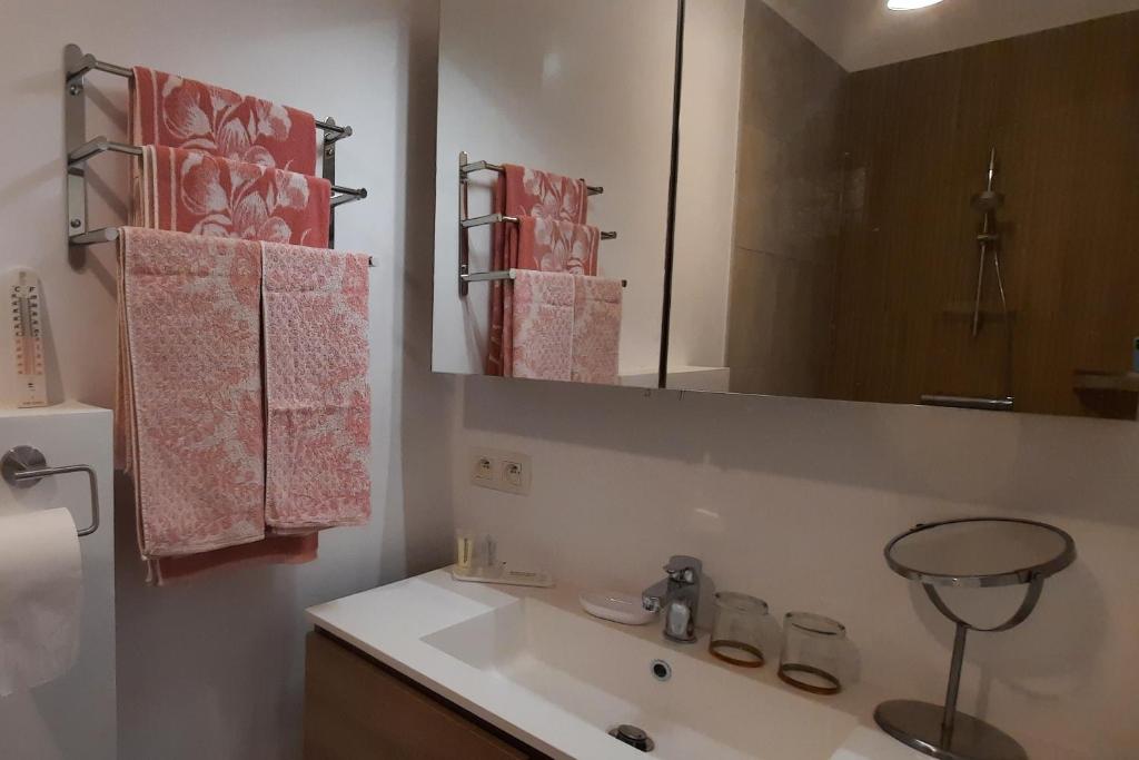 Koupelna v ubytování BnB Waterzicht