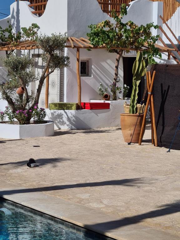 a swimming pool with a cactus and potted plants at La Maison des Vagues in Sidi Kaouki