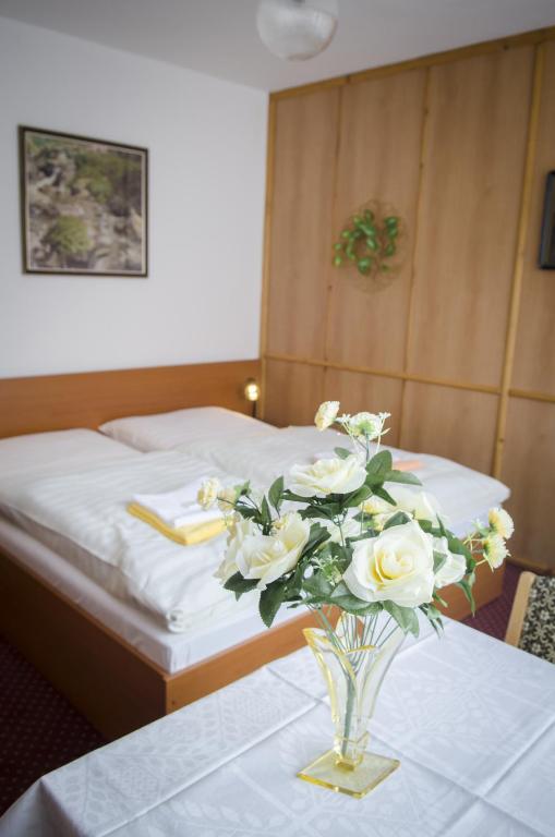 Fotografie z fotogalerie ubytování Villa Betty v Praze