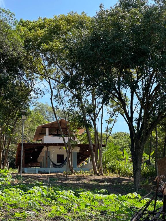 a house in the middle of a field with trees at Flat Recanto da Natureza in Cabo de Santo Agostinho
