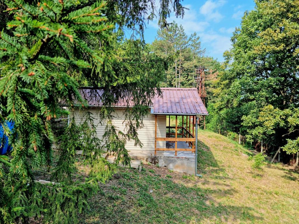 a small cabin in the middle of a forest at Къмпинг и Бунгала Брусен Хил - Camping and Bungalows Brusen Hill 