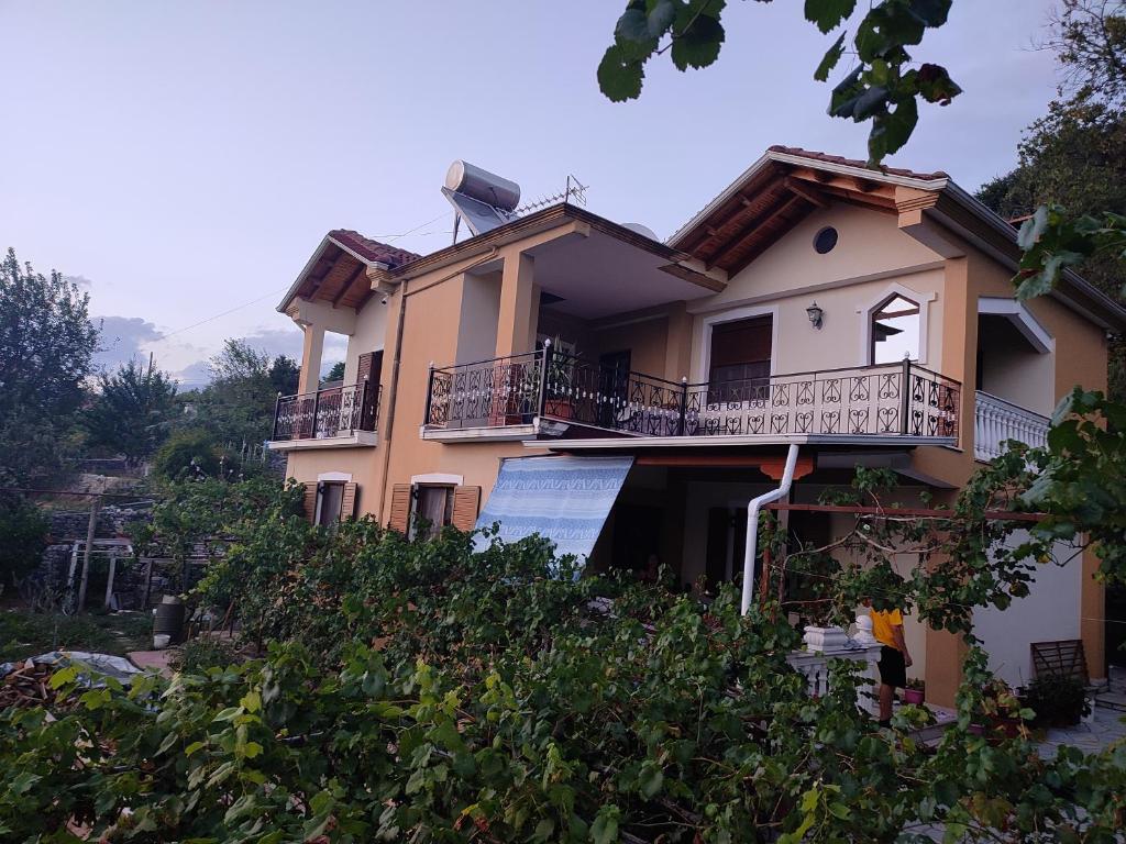 Tusuni Guest House - Imazhi 4