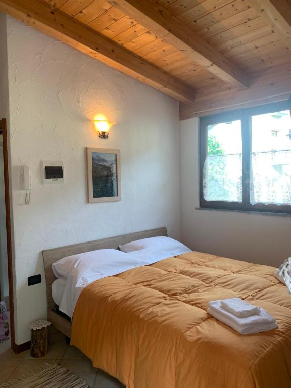 een slaapkamer met een bed in een kamer met een raam bij Valtellina Grosotto Holidays in Grosotto