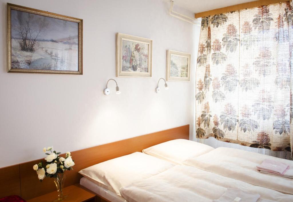 Fotografie z fotogalerie ubytování Villa Betty v Praze