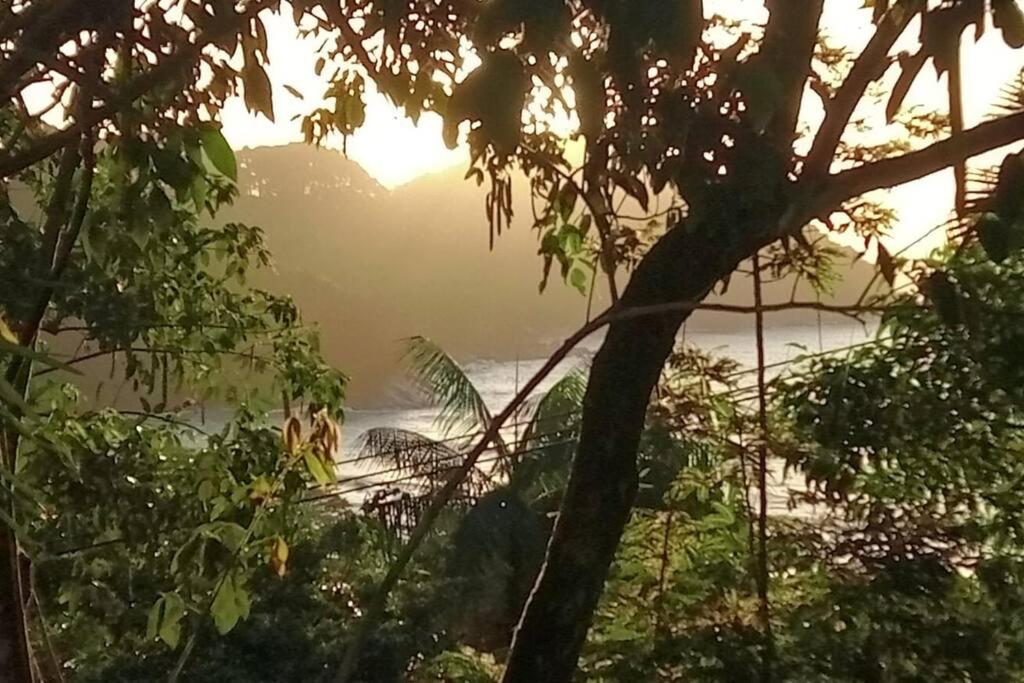 una vista de un cuerpo de agua con un árbol en Altar da praia Vermelha 180° de vista para o mar en Ubatuba