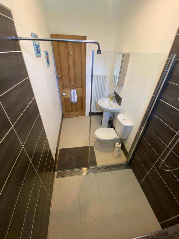 a bathroom with a toilet and a sink at Roy Place Gdn Apartment in Campbeltown