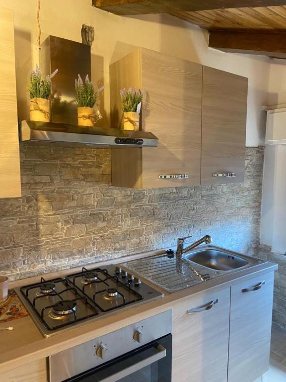 una cucina con piano cottura e lavandino con piante in vaso di Tulipipì a Sant'Albino