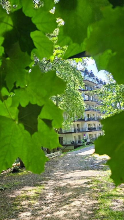 Príroda v okolí apartmánu