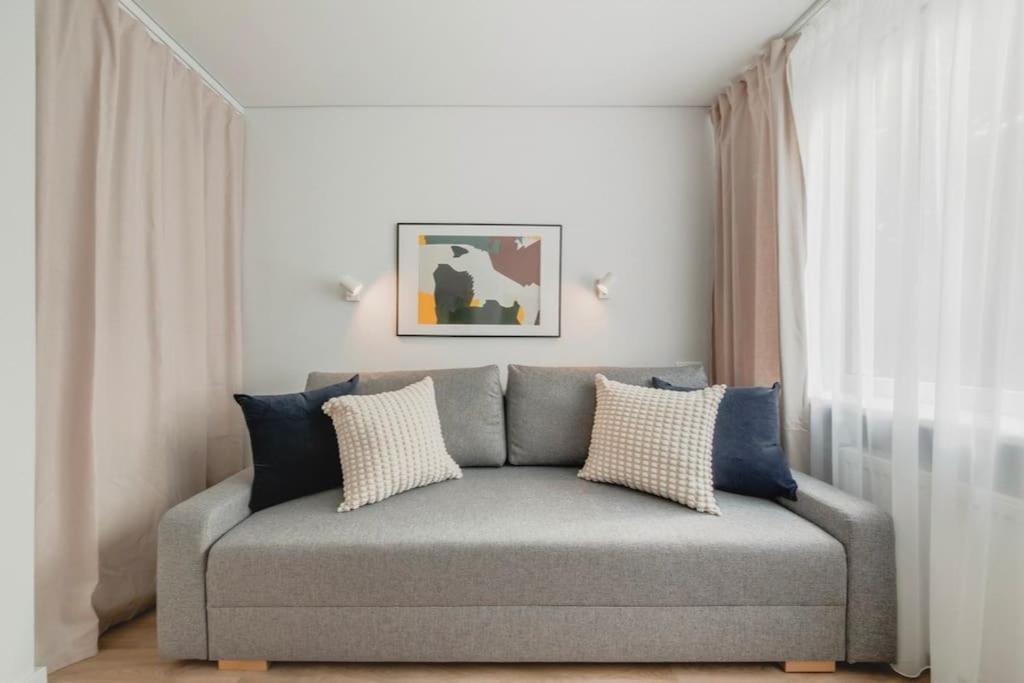 a gray couch with pillows in a living room at Apartment in Žvėrynas in Vilnius