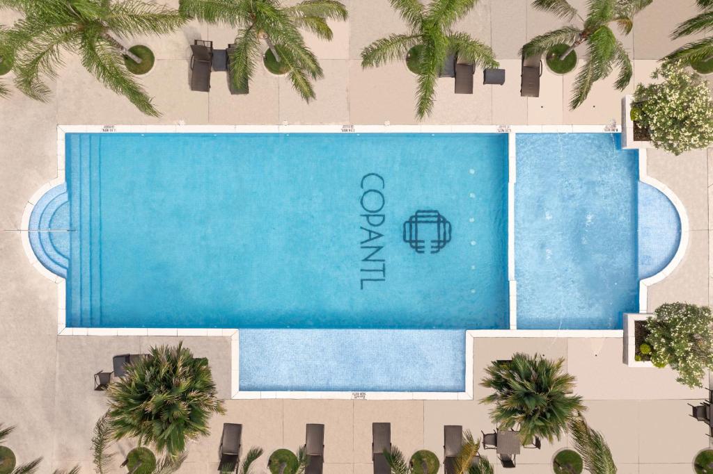 an overhead view of a swimming pool with palm trees at Copantl Hotel & Convention Center in San Pedro Sula