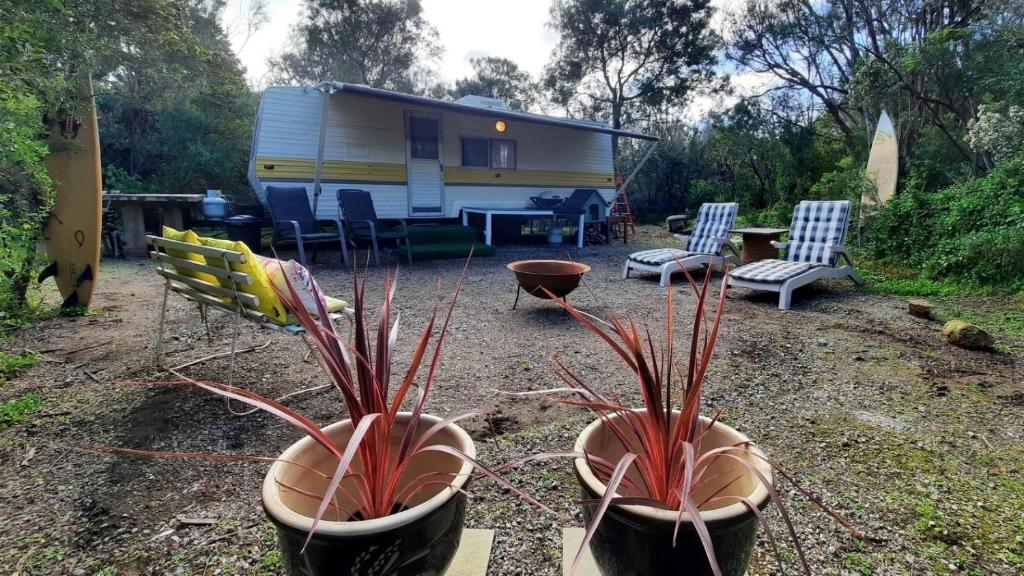 a rv with chairs and plants in front of it at Back Beach Retro Van in Fingal